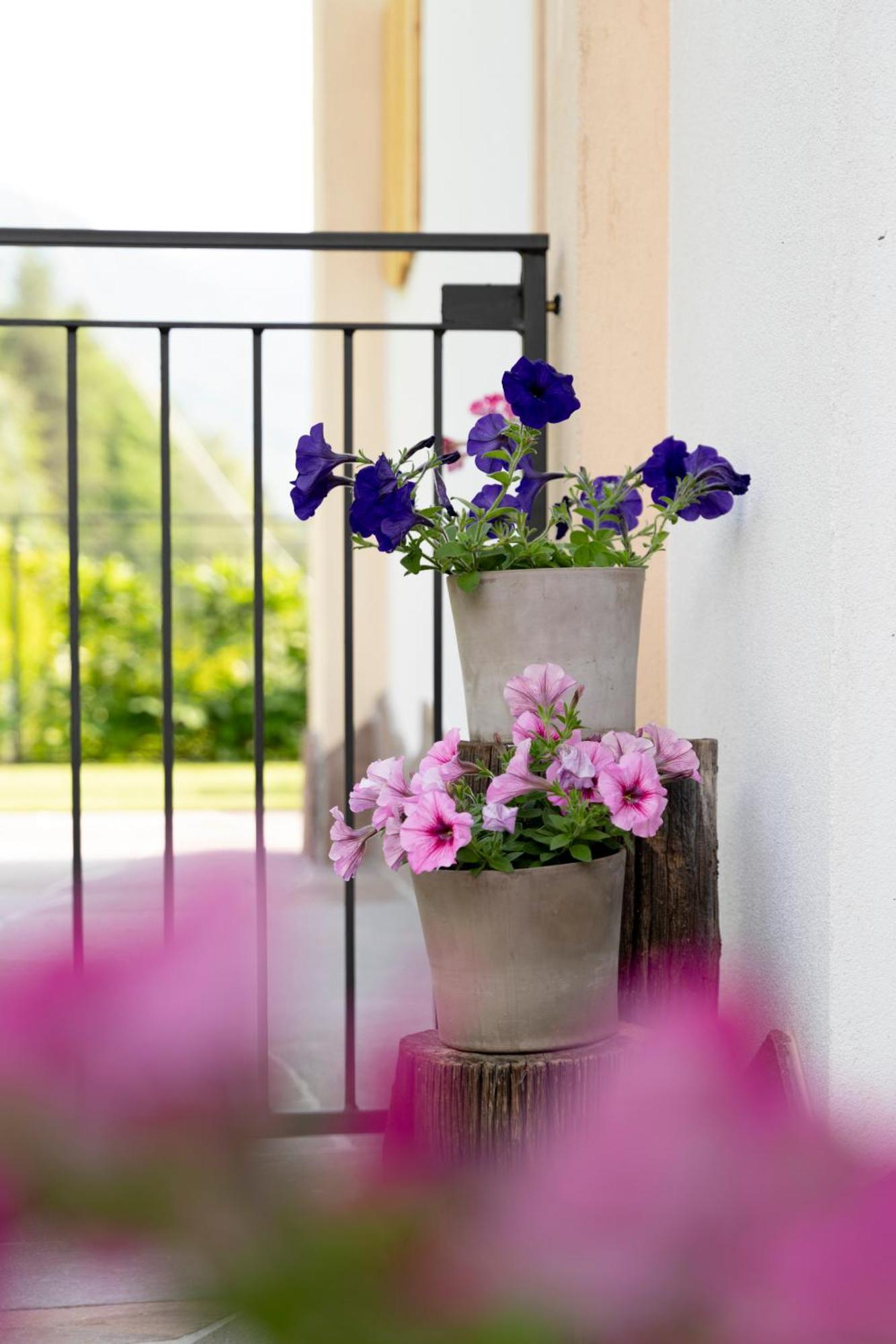 B&B Al Lupo Solitario Segonzano Ngoại thất bức ảnh